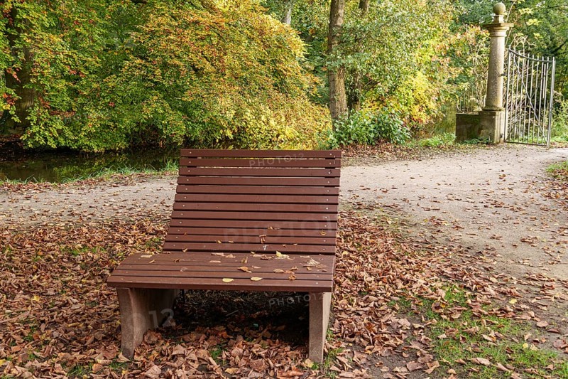 A wooden bench stands on a leaf-covered path amidst autumn-coloured trees, Borken, Münsterland, Germany, Europe