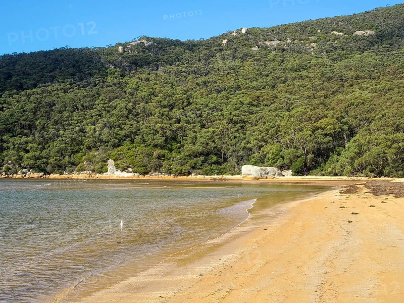This lovely sandy beach is a great reward at the end of the Telegraph Saddle to Sealers Cove track, Wilsons Promontory, Victoria, Australia, Oceania