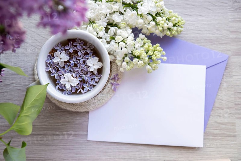 Empty envelope copy space paper note with Tasty black tea in white cup on windowsill with aromatic lilac flowers. Spring composition Cup of lilac tea drinking recipe flowering branches of purple lilac. Still life for greeting card, poster, banner, wallpaper. Relaxation and natural ingredients