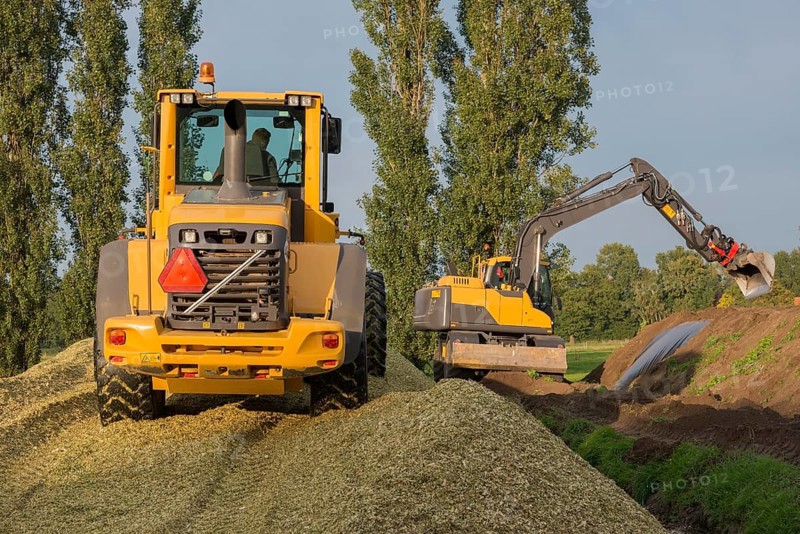 Agriculture shredded corn silage with a yellow shovel and excavator in the Netherlands