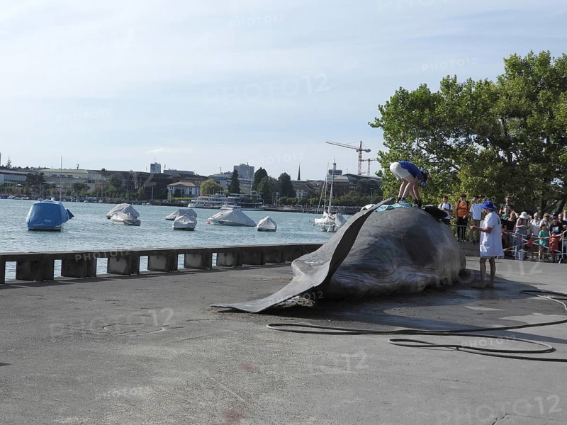 Switzerland: A stranded whale lies on the shore of Lake Zurich. A campaign by the IWA (International Whale Association) during the theatre spectacle in Zurich