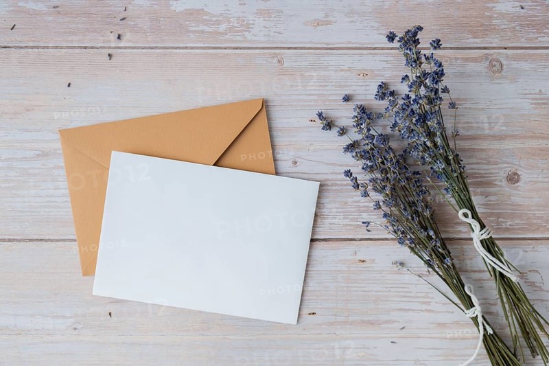 Empty white envelope paper card note template mock up. Copy space for your text. Lavender flower. Greeting or invitation card blank with envelope. Top view, flat lay