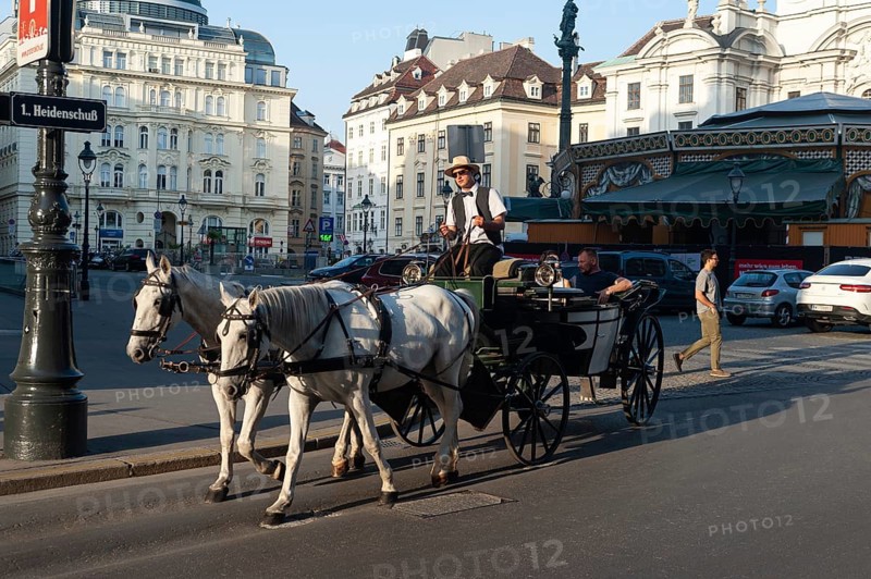 14.06.2019, Vienna, Austria, Europe, A hackney carriage drives tourists through the capital on a city tour in a horse-drawn carriage, Europe