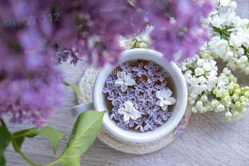 Tasty black tea in white cup on windowsill with aromatic lilac flowers. Spring composition Cup of lilac tea drinking recipe flowering branches of purple lilac. Still life for copy space greeting card, poster, banner, wallpaper. Relaxation and natural ingredients