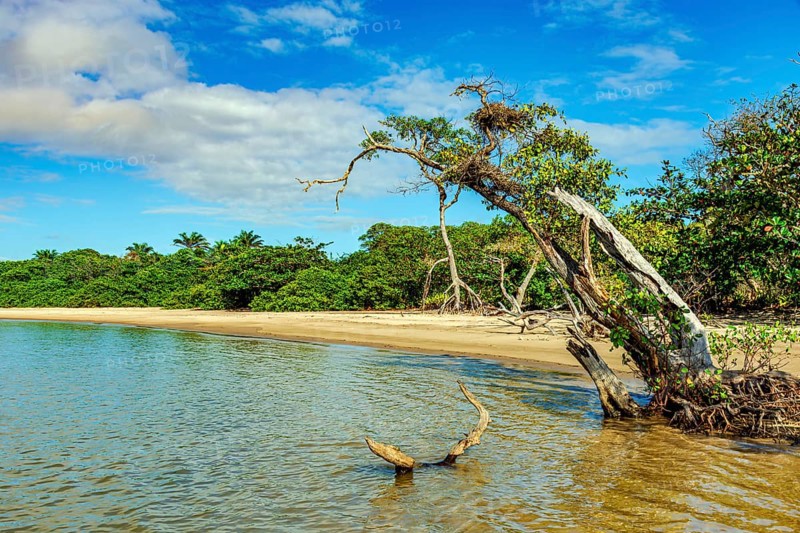 Deserted and wild beach in Serra Grande on the south coast of the state of Bahia