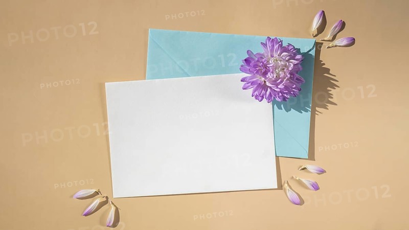 Composition with empty paper note and envelope beautiful spring blue flowers on beige background. Mockup card invitation greeting card postcard copy space template. Blooming fresh natural flower