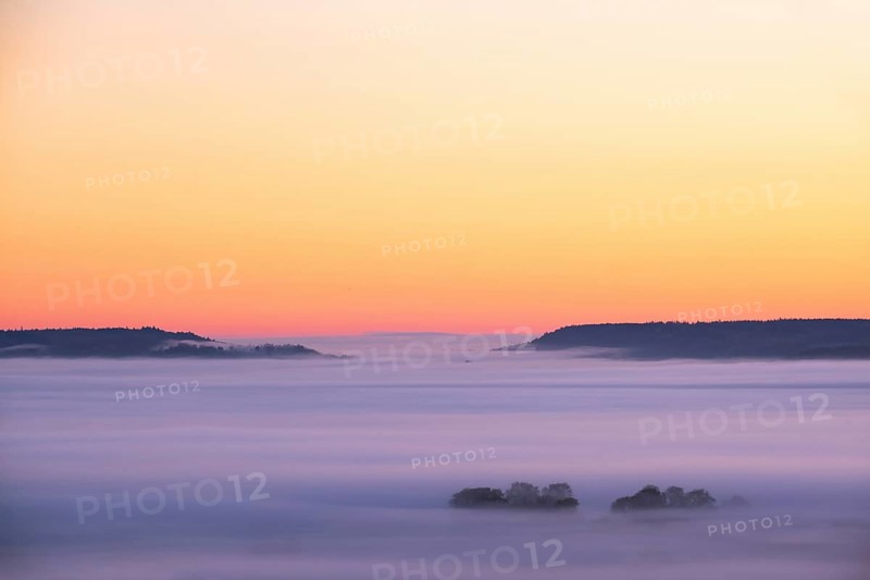 Misty landscape view at dawn