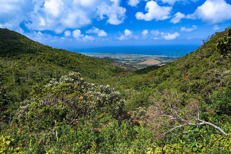 View, Black River Gorges National Park, Biosphere Reserve, Bel Ombre, Indian Ocean, Island, Mauritius, Africa