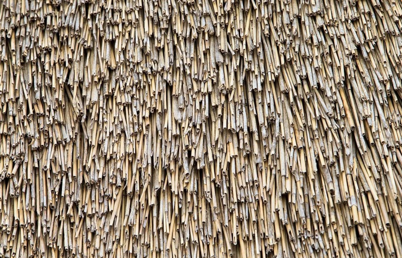 Image shows a detailed view of a thatch roof