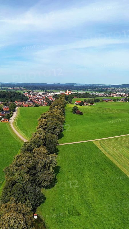 Aerial view of Lindenallee in Marktoberdorf with a view of the historic castle. Marktoberdorf, Ostallgäu, Swabia, Bavaria, Germany, Europe