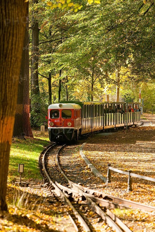 Large garden with park railway