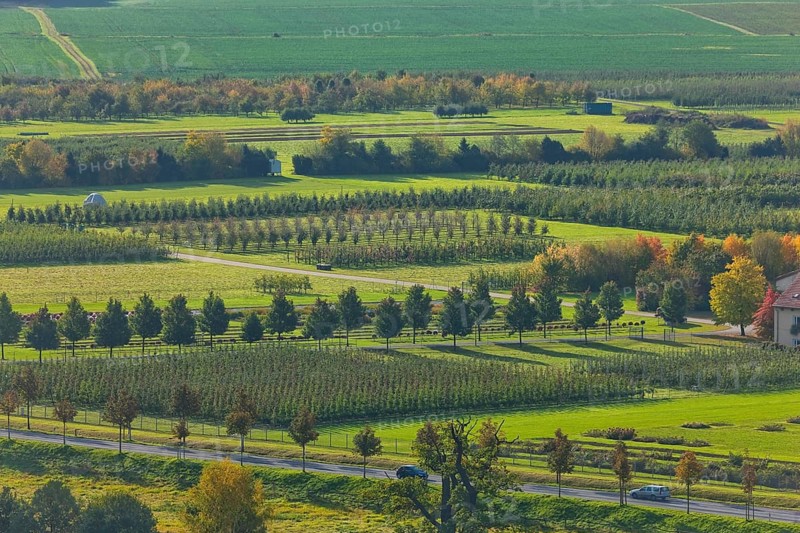 (Copyright © www.dresden fotografie.de) (Sylvio Dittrich) (+49 1772156417) Pillnitz Orchards