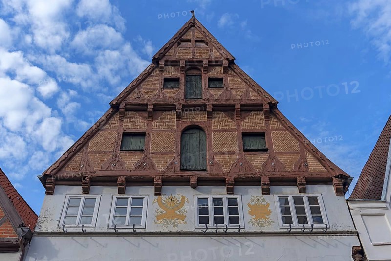 Historic half-timbered gable, Lüneburg, Lower Saxony, Germany, Europe