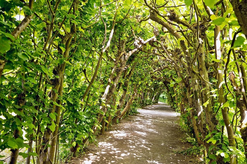 Bergpark Wilhelmshöhe, UNESCO World Heritage Site, Kassel, Hesse, Germany, Europe