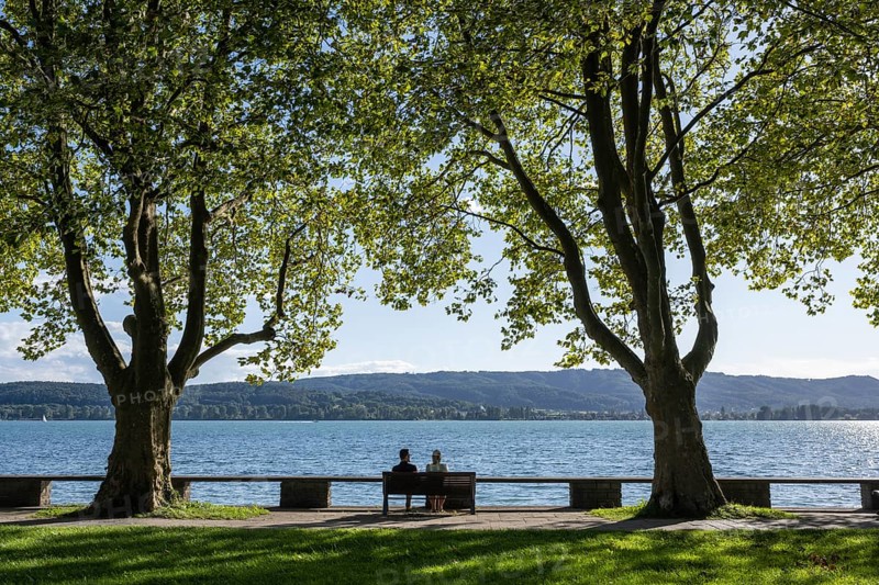 The Mettnaupark with the Istres promenade on the shore of Lake Constance, on the horizon the Höri peninsula, Radolfzell, Constance district, Baden-Württemberg, Germany, Europe