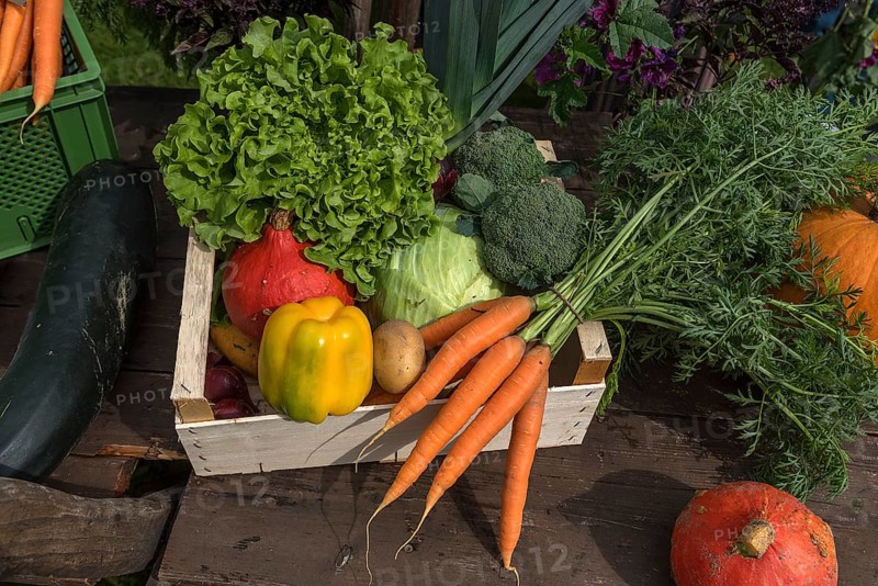 Mixed organic vegetables, Franconia, Bavaria, Germany, Europe