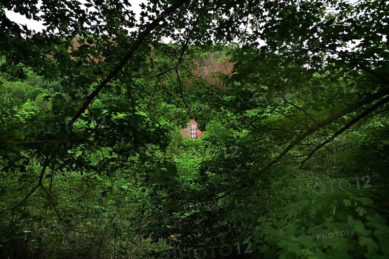 Forest damage in the Sauerland region has caused about 40 % of the spruce stand, especially in monocultures. The picture shows forest damage in May 2020, Germany, Europe