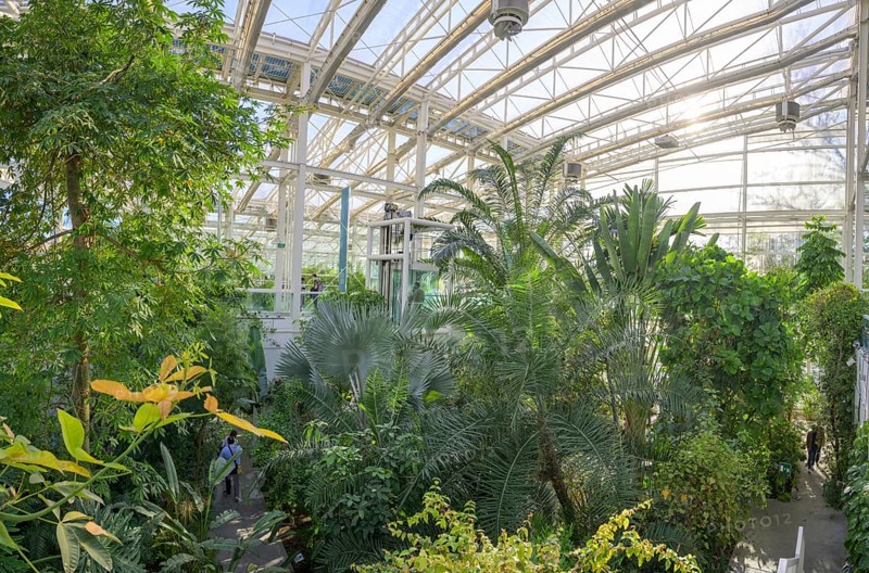 Interior view Il Giardino della Biodiversita, Padua, Province of Padua, Italy, Europe
