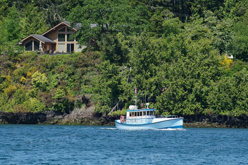 Small fishing boat in front of forest and single house, good weather, Ucluelet, Pacific Rim National Park, Vancouver Island, British Columbia, Canada, North America