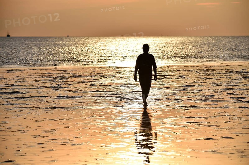 Woman walking on the mudflats at sunset, Schleswig-Holstein, Germany, Europe