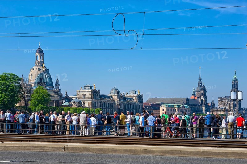 Steamboat parade on the Elbe