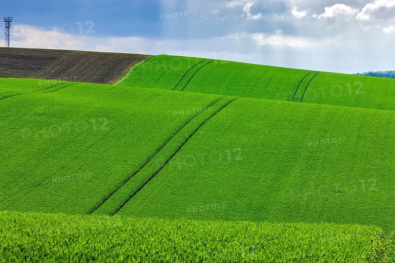 Fields near Lommatzsch