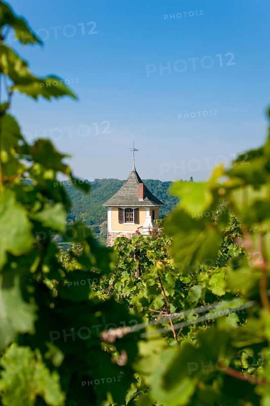 Not far from the Boselspitze, leaning towards the Elbe, is the vineyard known as the Rote Presse. The ochre-coloured vineyard cottage with the pointed roof, also known as the Swallow's Nest, is visible from afar
