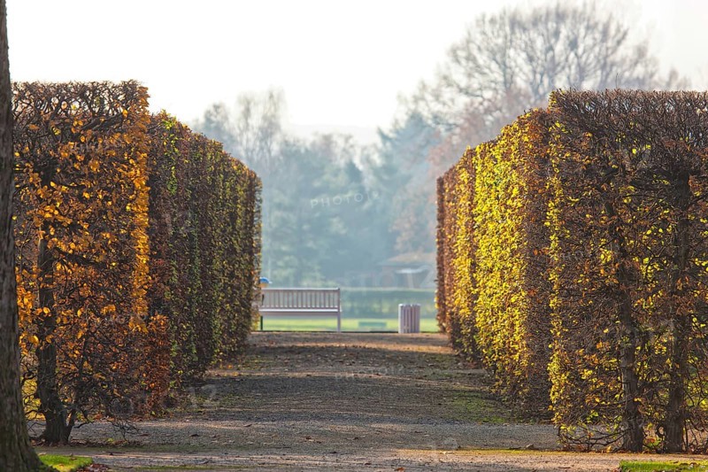 (© Sylvio Dittrich +49 1772156417) About 15 kilometres east of Dresden city centre, directly on the Elbe, lies Pillnitz Palace & Park, the most important chinoise palace complex in Europe. The extraordinary ensemble of architecture and garden art is harmoniously integrated into the river landscape of the Elbe valley in front of the vineyards