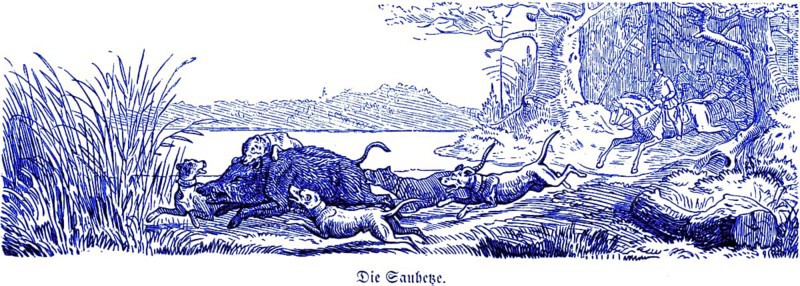 Boar Rush, Wild Boar, Hubertus Hunting and Hunting Scenes, Wild Animals, Sow, Dogs, Rush, Forest, Lake, Path, Run, Flee, Pursue, Bite, Rider, Horse, Fast, Historical Illustration around 1860
