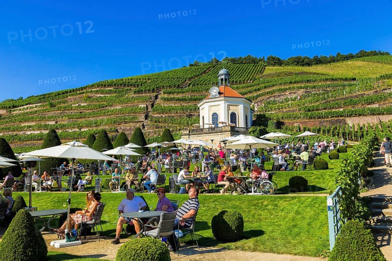 Wackerbarth Castle or Wackerbarths Ruh is a Baroque castle surrounded by vineyards in the Niederlößnitz district of Radebeul on the road to Meißen, which serves as the seat of the Saxon State Winery. The winery belongs to the Lößnitz vineyard and is located in the Radebeuler Johannisberg vineyard
