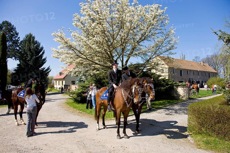 Every year at Easter there are about 5 processions in Lusatia, each with about 200 riders. The Catholic Church continues old Sorbian rites here. Thousands of spectators watch the impressive cavalcades