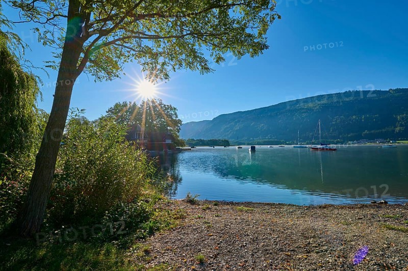 Lakeside, Tree, Sun, Morning, Summer, Steindorf am Lake Ossiach, Lake Ossiach, Carinthia, Austria, Europe