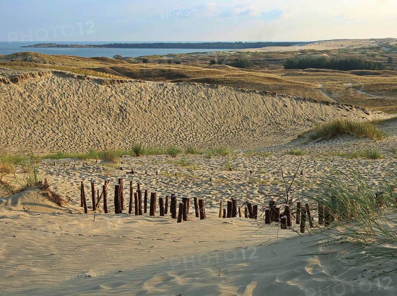 The Parnidis Dune in the Curonian Spit National Park is one of the largest shifting sand dunes in Europe. Fortifications with piles serve to stabilise it. In the background the Curonian Lagoon, Parnidis Dune, Nida, Curonian Spit, Lithuania, Europe