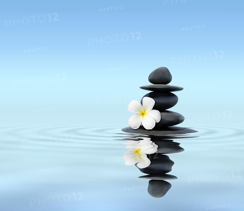 Zen spa concept background, Zen massage stones with frangipani plumeria flower in water reflection