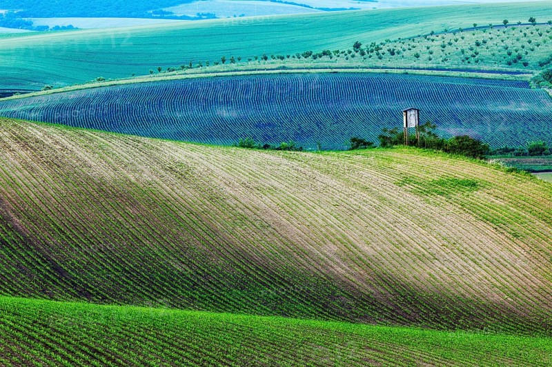 Rural Europe background, Moravian rolling landscape with hunting tower shack on sunset. Moravia, Czech Republic, Europe