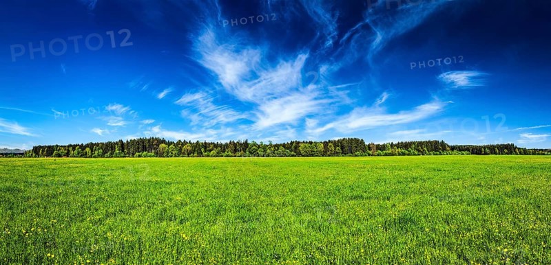 Panorama of summer meadow pastoral idyllic serene scene. Bavaria, Germany, Europe