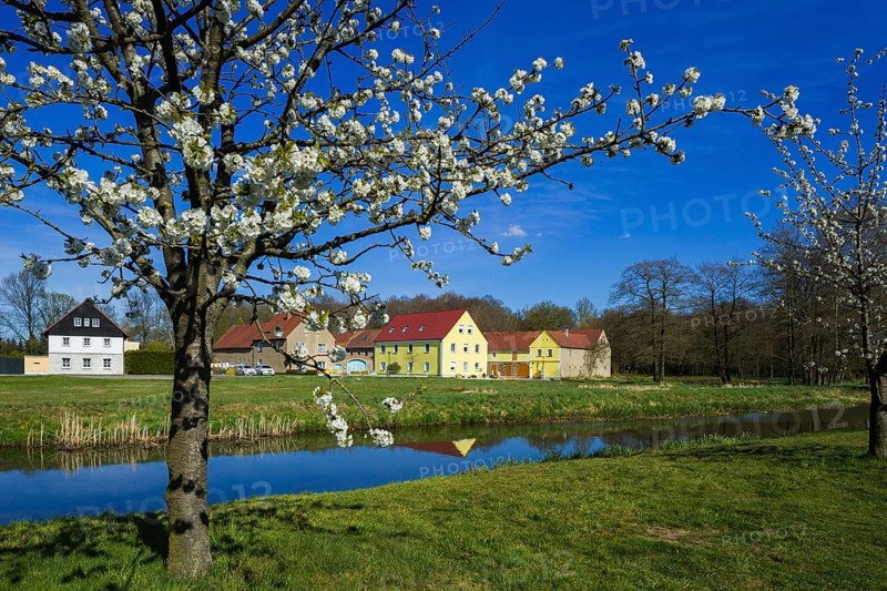 Sollschwitz is a district of the town of Wittichenau in the district of Bautzen in Saxony. The village is located in the recognised Sorbian settlement area
