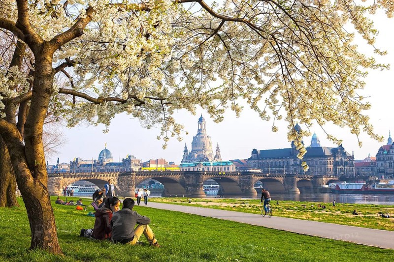 Spring on the Königsufer in Dresden