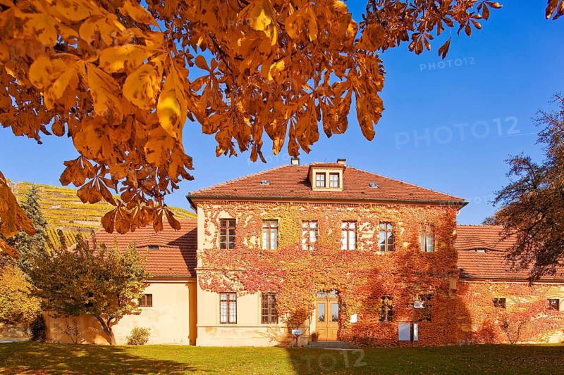 Winery Haus Hoflößnitz