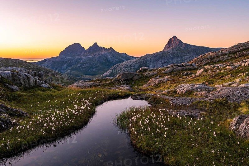 Pond with cotton grass in front of Straumdalstinden and Blokktinden mountains, Østerdalen valley, Helgeland coast near Jektvik, Rødøy, Nordland, Norway, Europe
