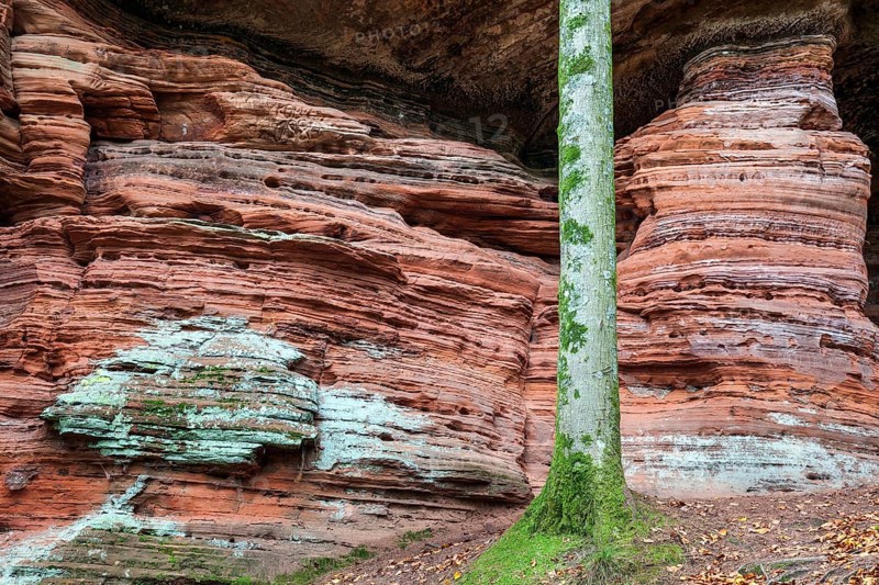 Old castle rock, red sandstone rock formation, natural and cultural monument, Brechenberg near Eppenbrunn, Palatinate Forest, Rhineland-Palatinate, Germany, Europe