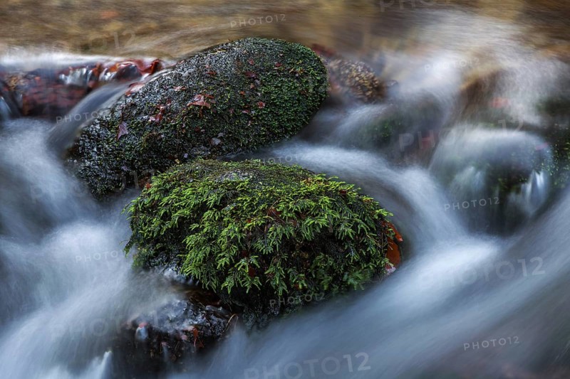 Gertelbach, Gertelbach Waterfalls, Gertelbach Falls, close-up, Gertelbach Gorge, Bühl, Bühlertal, Northern Black Forest, Black Forest, Baden-Württemberg, Germany, Europe