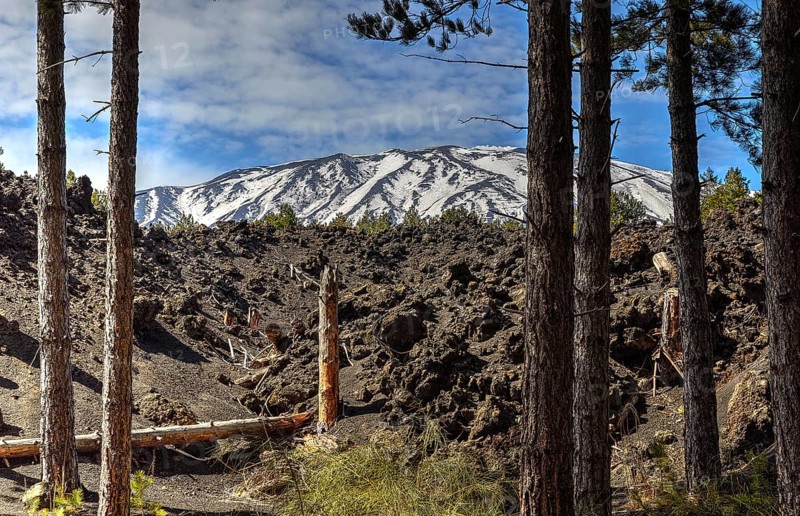 Snow-capped peaks, trees, wall of lava rubble, Etna, volcano, eastern Sicily, Sicily, Italy, Europe