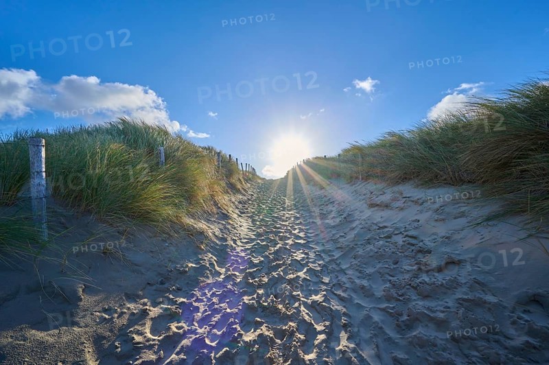 Beach access, sand dune, dune grass, wind, clouds, sun, morning, Zandvoort, North Sea, North Holland, Netherlands