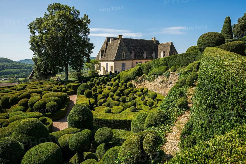 Boxwood garden, Les Jardins de Marqueyssac, Vezac, Dordogne, Périgord, Département Dordogne, Region Nouvelle-Aquitaine, France, Europe
