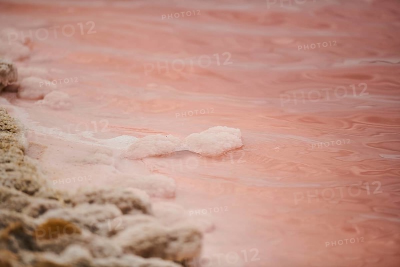 Salt crust at the waters edge of a little salt water pond for industrial salt production, Aigues-Mortes, Camargue, France, Europe