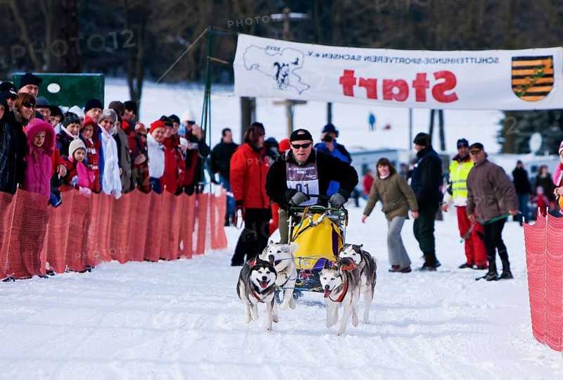 Sled dog race in Nassau Erzgeb