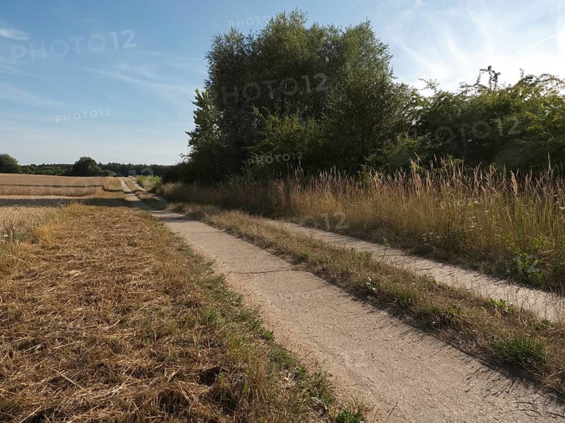 The column trail along the former inner-German border marks the green band between Mecklenburg-Western Pomerania and Schleswig-Holstein in the Schaalsee UNESCO Biosphere Reserve, Boize stream, state border, Boize near Zarrentin, Mecklenburg-Western Pomerania, Germany, Europe