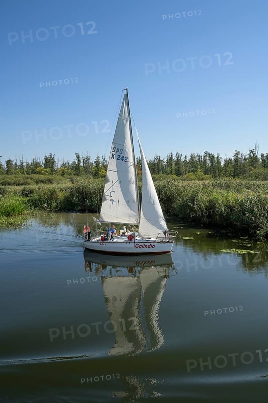 Sailing boat, biotope, nature reserve, Swante River, Swieta, north of Szczecin, West Pomeranian Voivodeship, Poland, Europe