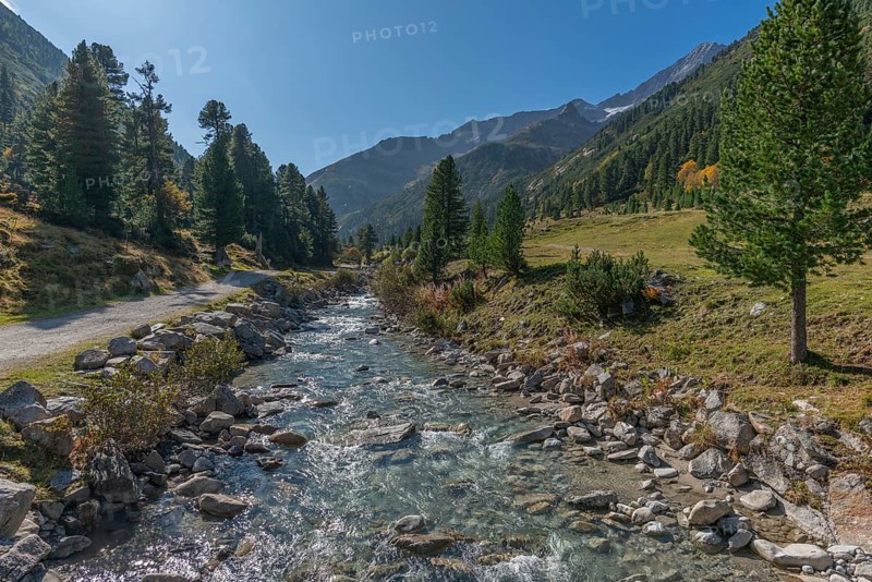 Zamser Bach in the valley Zamser Grund, Schlegeis, hiking trail, coniferous forest, rocks, backlight, blue sky, Zillertal Alps, Tyrol, Austria, Europe